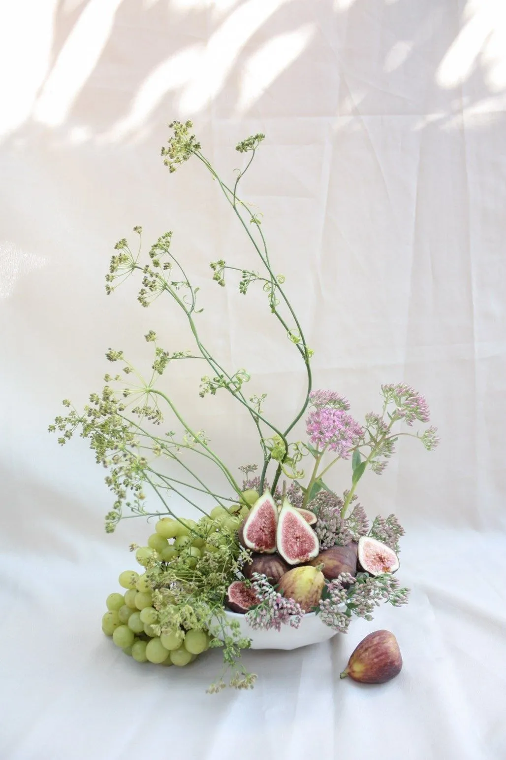 Still life of grapes, sliced figs, and pink sedum in a white bowl